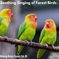 Billy Brown Natura Muzic - Boastful Crickets