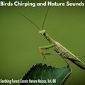 Angela Davis - Pleasing Insects