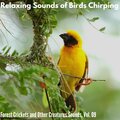 Dr. Louis Mil Nature - Flaring Fire