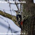 Forest Bird Sounds - Relaxing Nature Ambient Music Collection, Vol. 03
