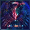 Xlarve - My May