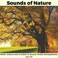 Sounds of Nature - Birds, Insects and Crickets in Scenic Forest Atmospheres, Vol. 07