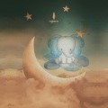 Cypress - 피아노 소나타 26번 내림 마장조 작품번호 81a '고별' – 2악장 안단테 에스프레시보 (동굴 물소리)