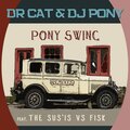 Dr Cat - Pony Swing