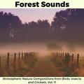Forest Sounds - Atmospheric Nature Compositions from Birds, Insects and Crickets, Vol. 11