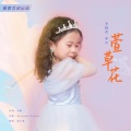 李晓青 - 萱草花