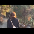 小熊 - 张小姐