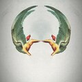 Bang Mantra - Águila