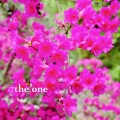 11:11 - the one