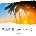 不是不爱 (Acoustic)(Demo)