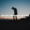 Qinn Media、Duong Minh Tuan、DC Tam - Quá Khứ Anh Không Thể Quên (Lofi Ver.)