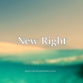 Jamila Woods、Yo Trane、Kyle Dion、Ruinofy - New Right
