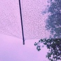 王恩信Est - 雨
