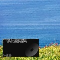 钟紫怡 - 儿时