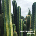Powder Grey - Licensor