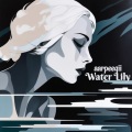 Water Lily