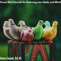 Forest Bird Sounds for Relaxing your Body and Mind - Nature Sounds, Vol. 03