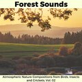 Mr. Austin Nature Hub - Owl Hoots and Yoga Atmophere