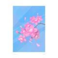 阳花 - 沿星逃