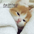 Lazy Cat Cafe: Mellow Lofi for Your Kitten