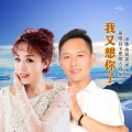 月下思故人、晓依 - 我又想你了