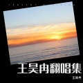 王昊冉 - 完美声线