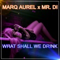 What Shall We Drink (Handsup Mix)