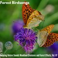 Nicholas Nature Studio - Exotic Birds