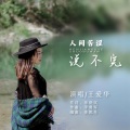 王爱华 - 人间苦涩说不完