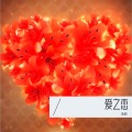 逸麟 - 唯你之光