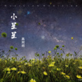 高珂珂 - 小星星 (吉他男版)