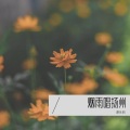 谭永丽 - 烟雨唱扬州