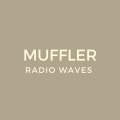 Muffler - Glitch In The System