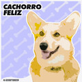 Música de Cachorro Calmante、Música Para Cães Adormecidos、Música Para Cães - Descanso Pacífico Do Pomeranian