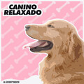 Música de Cachorro Calmante、Música Para Cães Adormecidos、Música Para Cães - Humor Tranquilo do Filhote