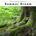 Total Relax、Seascapers - Wild River Tunes for Sound Sleep