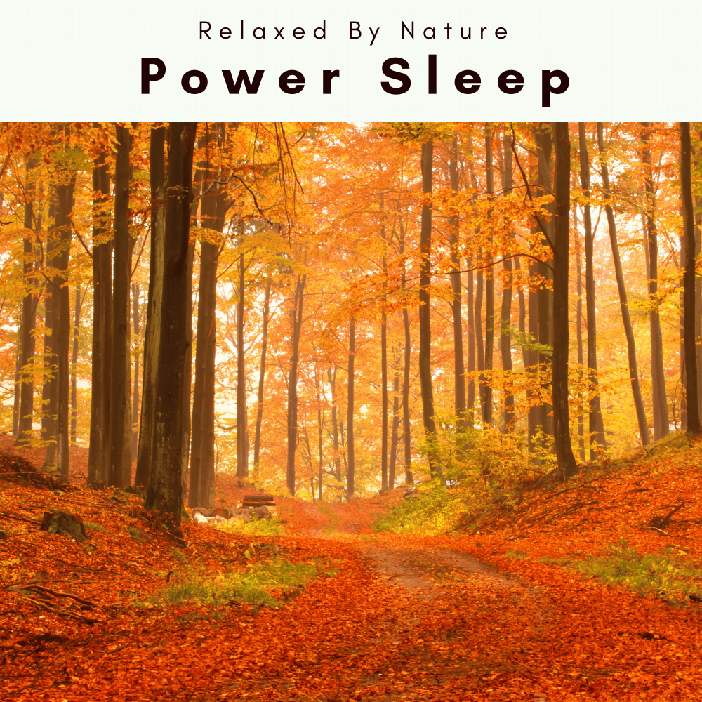 Total Relax、Seascapers - Wild Water Noises for Deep Sleep