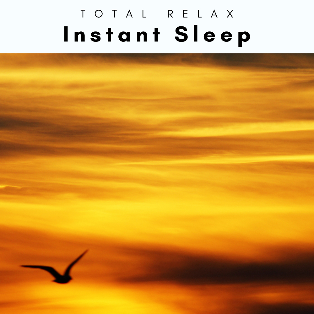 Total Relax、Masajes Spas - Clear Brook Noises for Dreams