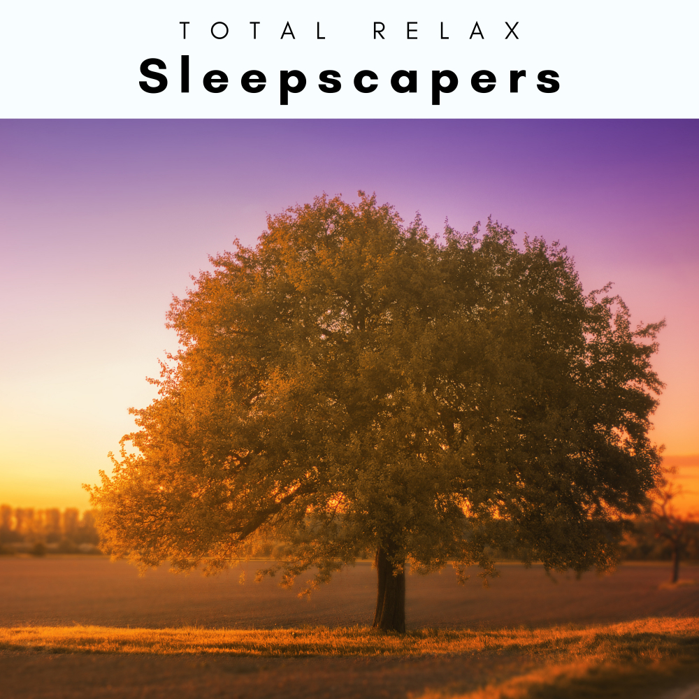 Total Relax、Seascapers - Water Noises for Sound Sleep