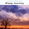 1 Sleep Journey