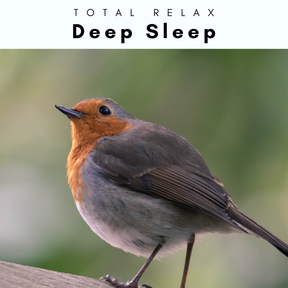 Total Relax、Seascapers - Brook Music for Nice Naps