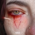 flowers - Vampires In The Sun (Radio Edit|Explicit)