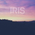 Kina Grannis - Iris