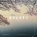 三胖muic - 爱你无需多言