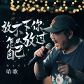 放不下你怎么放过自己 (DJ默涵版)