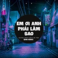 Qinn Media、Duong Minh Tuan、DC Tam - Em Ơi Anh Phải Làm Sao (Qinn Remix)