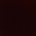 NPeezy - Kendall No Jenner (Explicit)