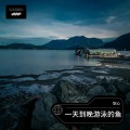 空心 - 一天到晚游泳的鱼