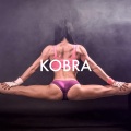 Kobra (Instrumental)