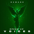Damage - VOICES